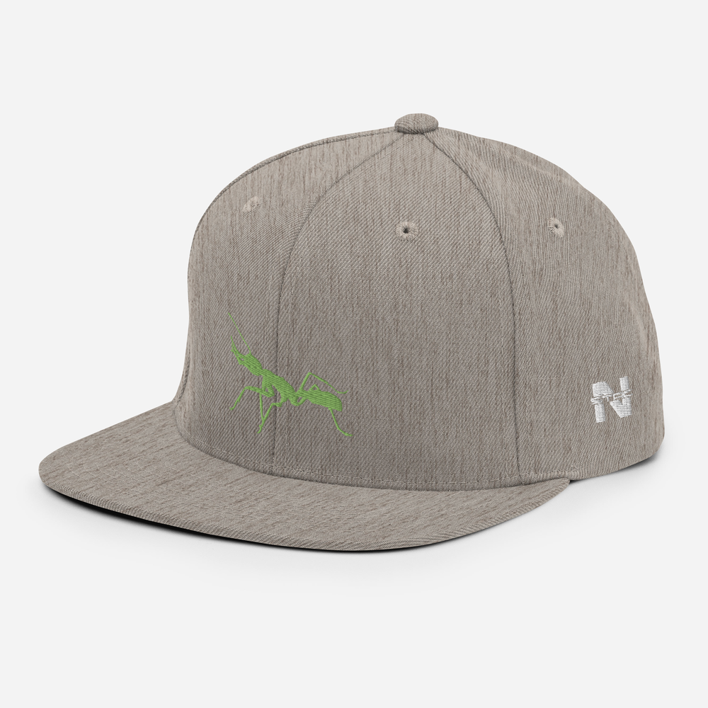 Antnology <kiwi> Snapback