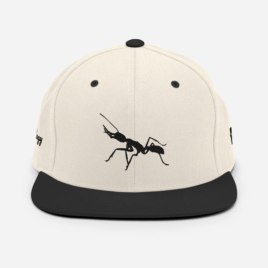Antnology Natural Baseball Cap