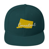 State Rep Snapback Green [CT]