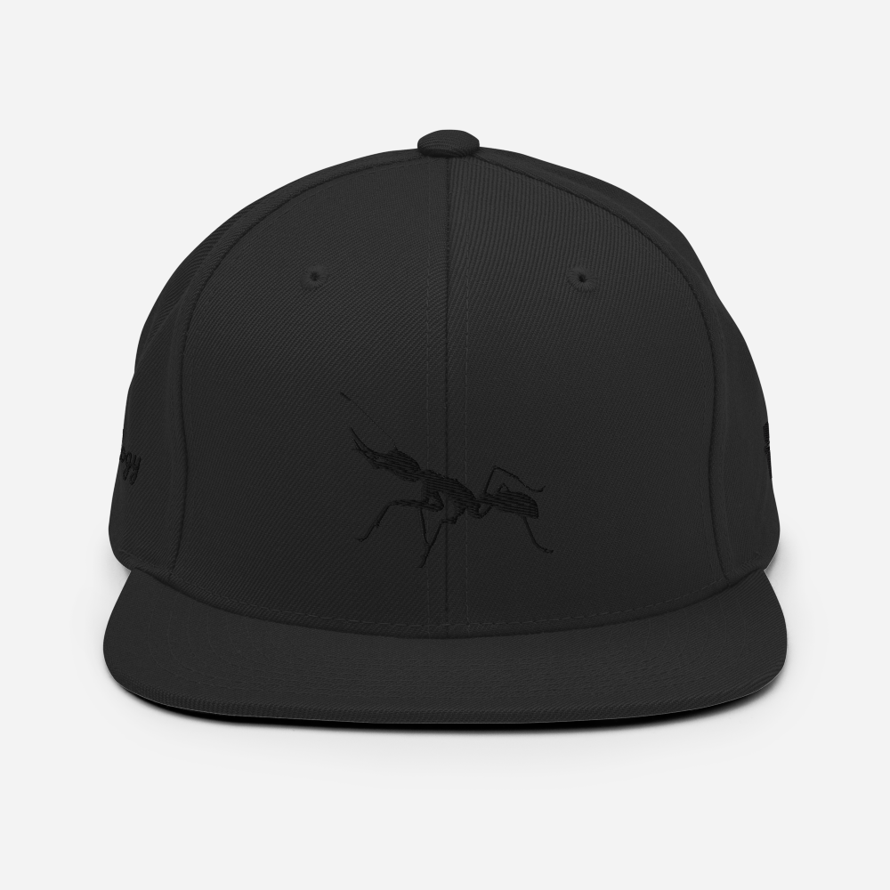 Black on Red Snapback [Antnology]