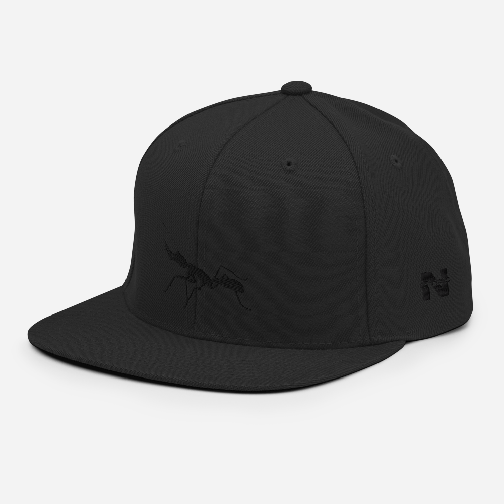Black on Red Snapback [Antnology]