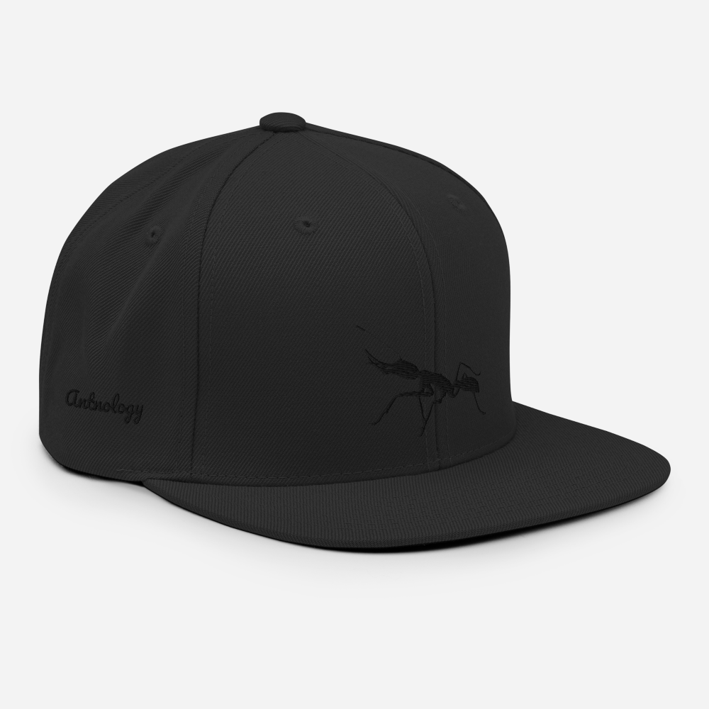 Black on Red Snapback [Antnology]