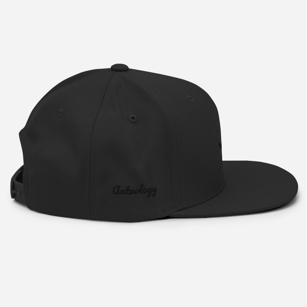 Black on Red Snapback [Antnology]