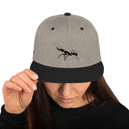 Blk/Gry Snapback Hat