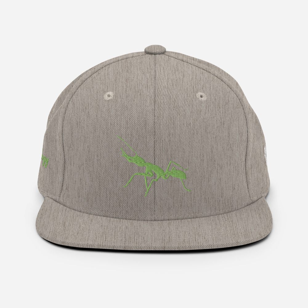 Antnology <kiwi> Snapback