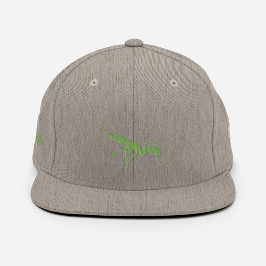 Antnology <kiwi> Snapback