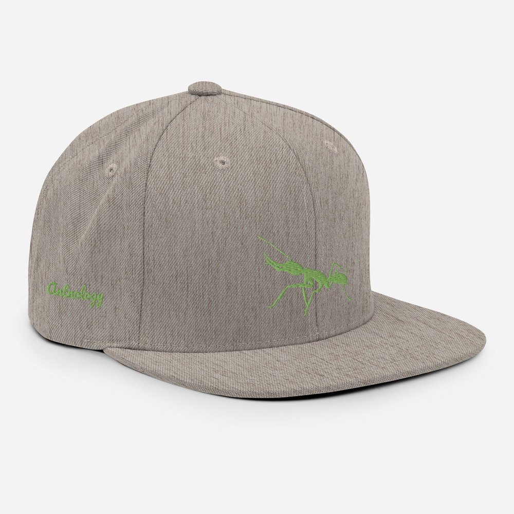 Antnology <kiwi> Snapback