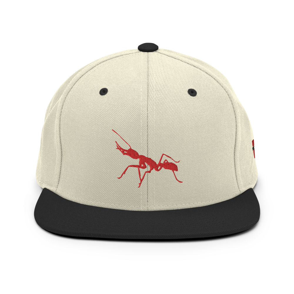 Natural/ Red Snapback