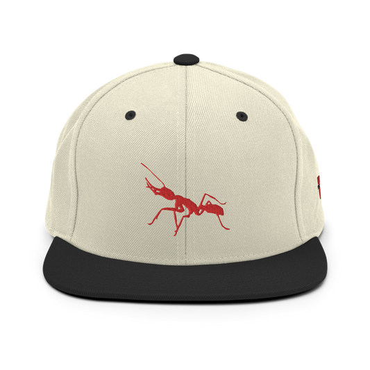 Natural/ Red Snapback
