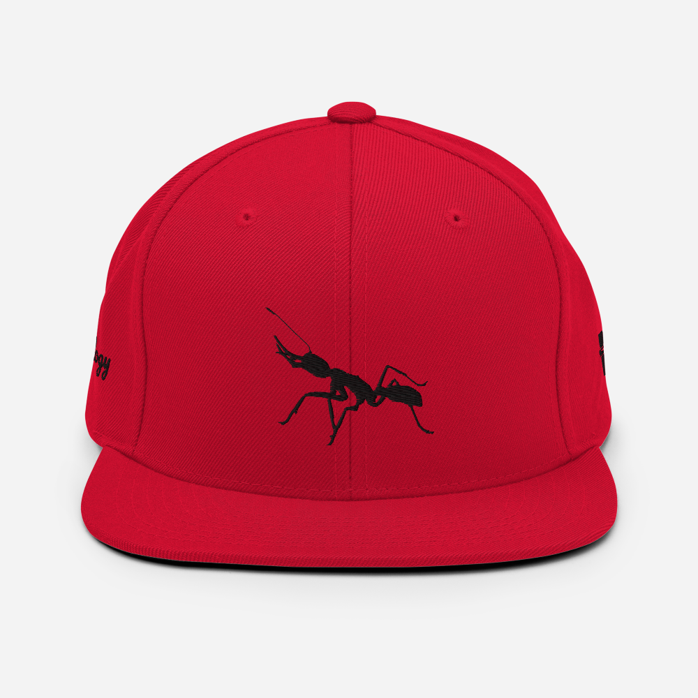 Black on Red Snapback [Antnology]