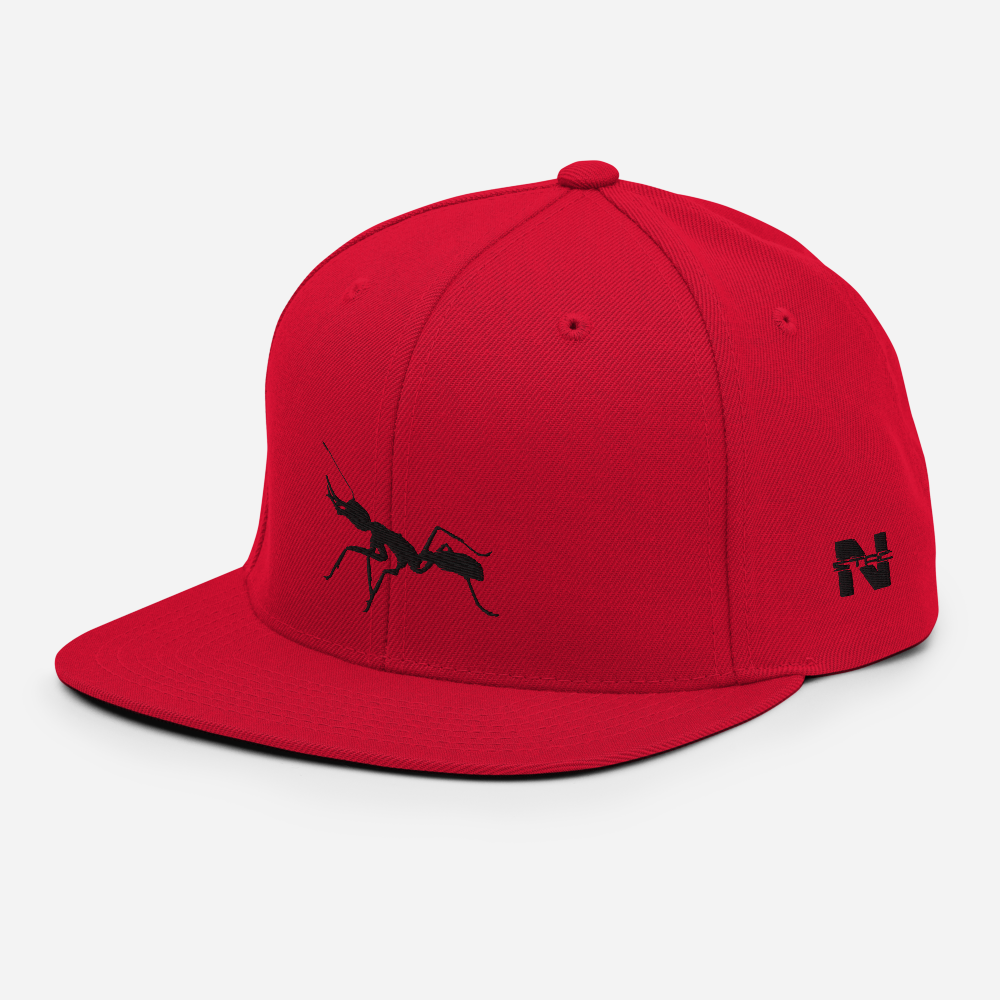 Black on Red Snapback [Antnology]