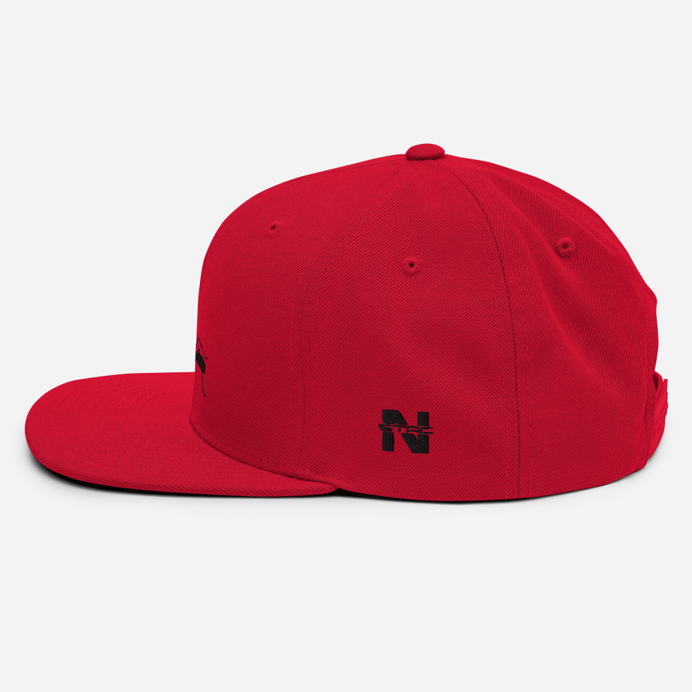 Black on Red Snapback [Antnology]