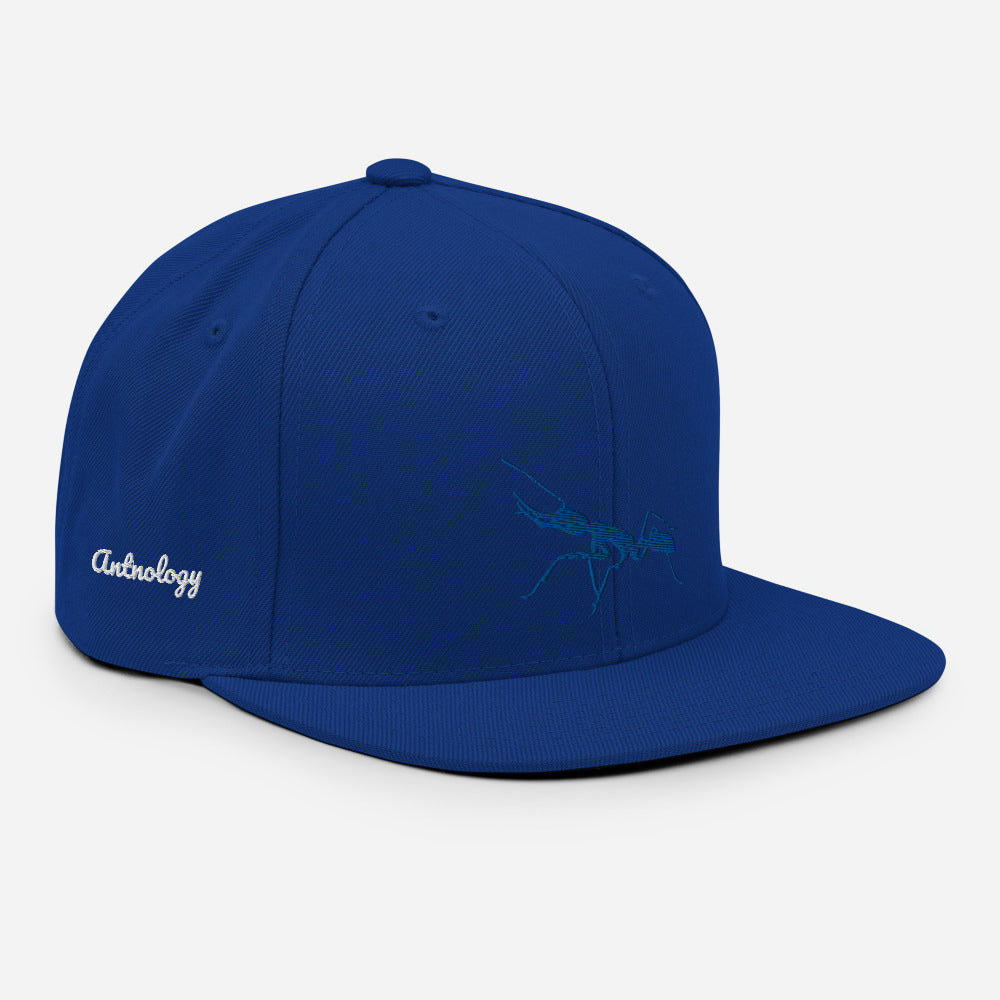 Royal Snapback