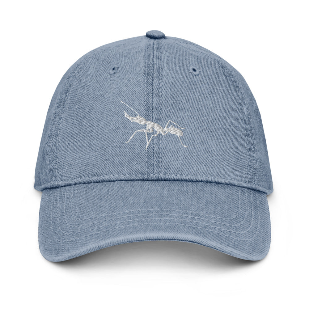 Denim Dad Hat Antnology