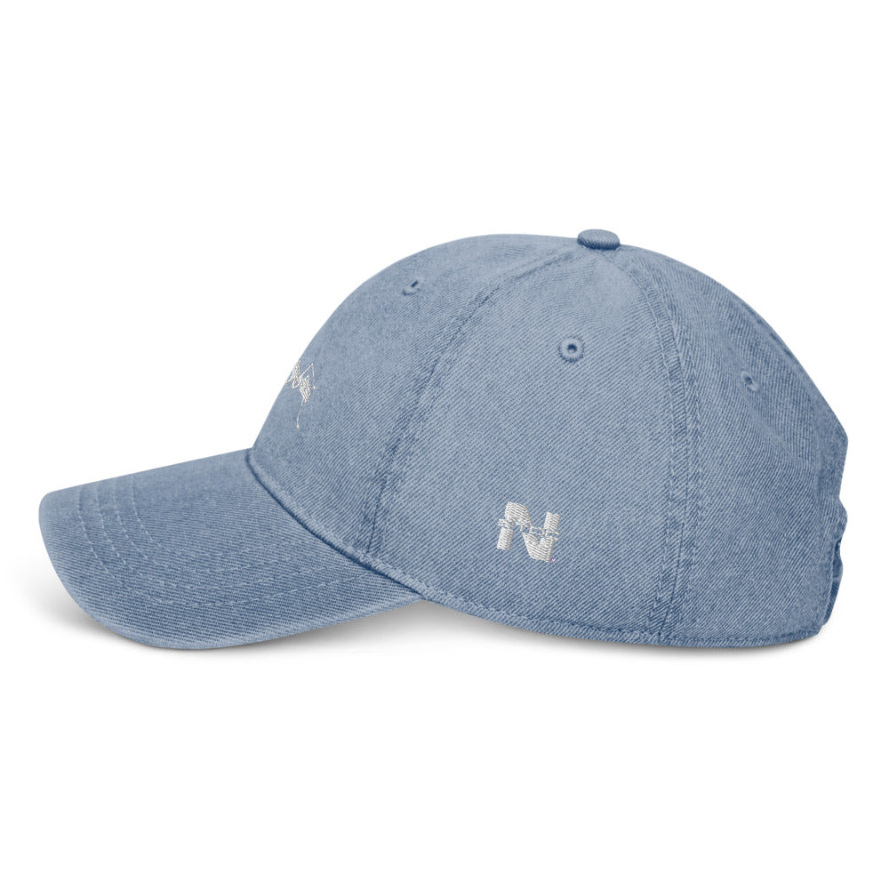 Denim Dad Hat Antnology