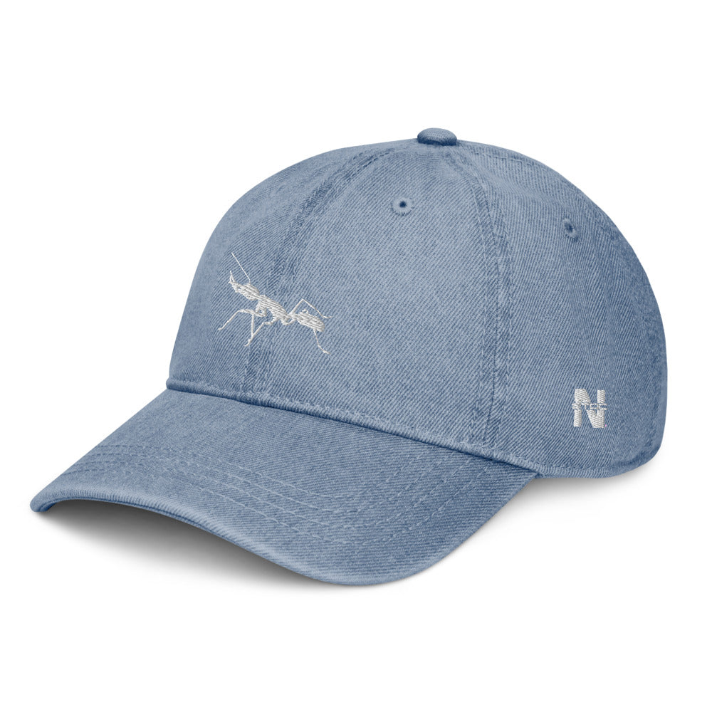 Denim Dad Hat Antnology