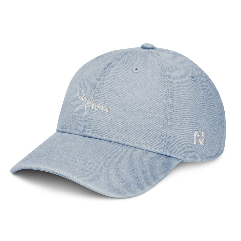 Denim Dad Hat Antnology