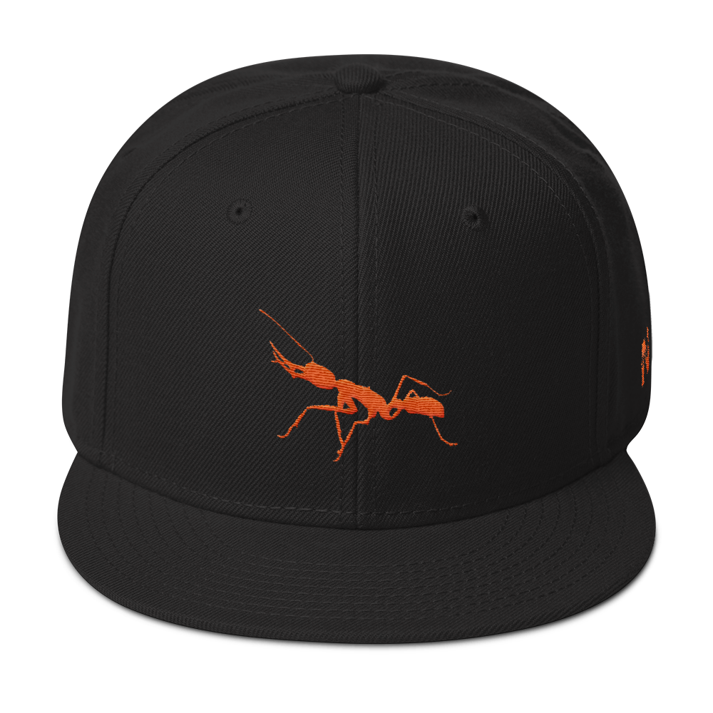 Snapback Hat