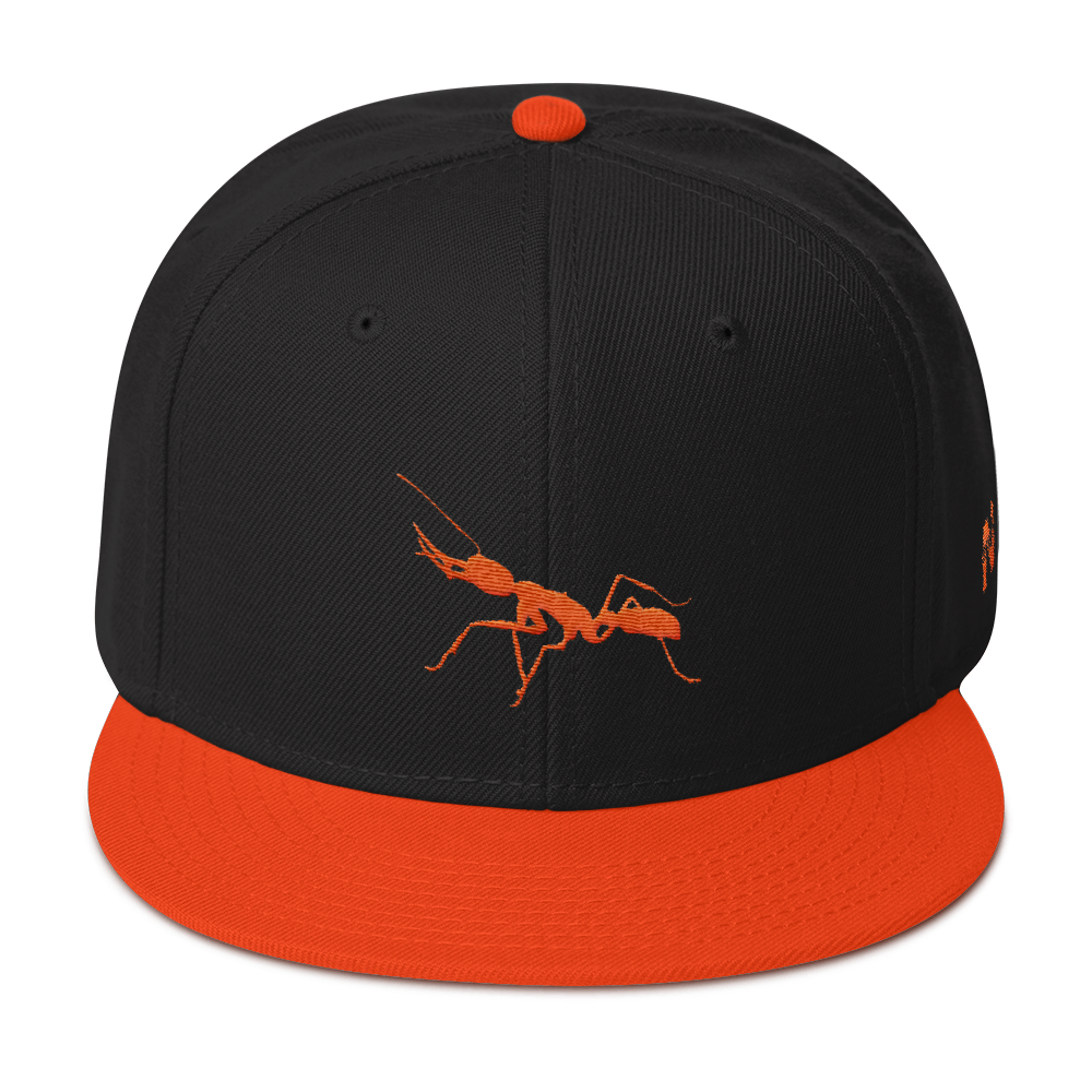 Snapback Hat