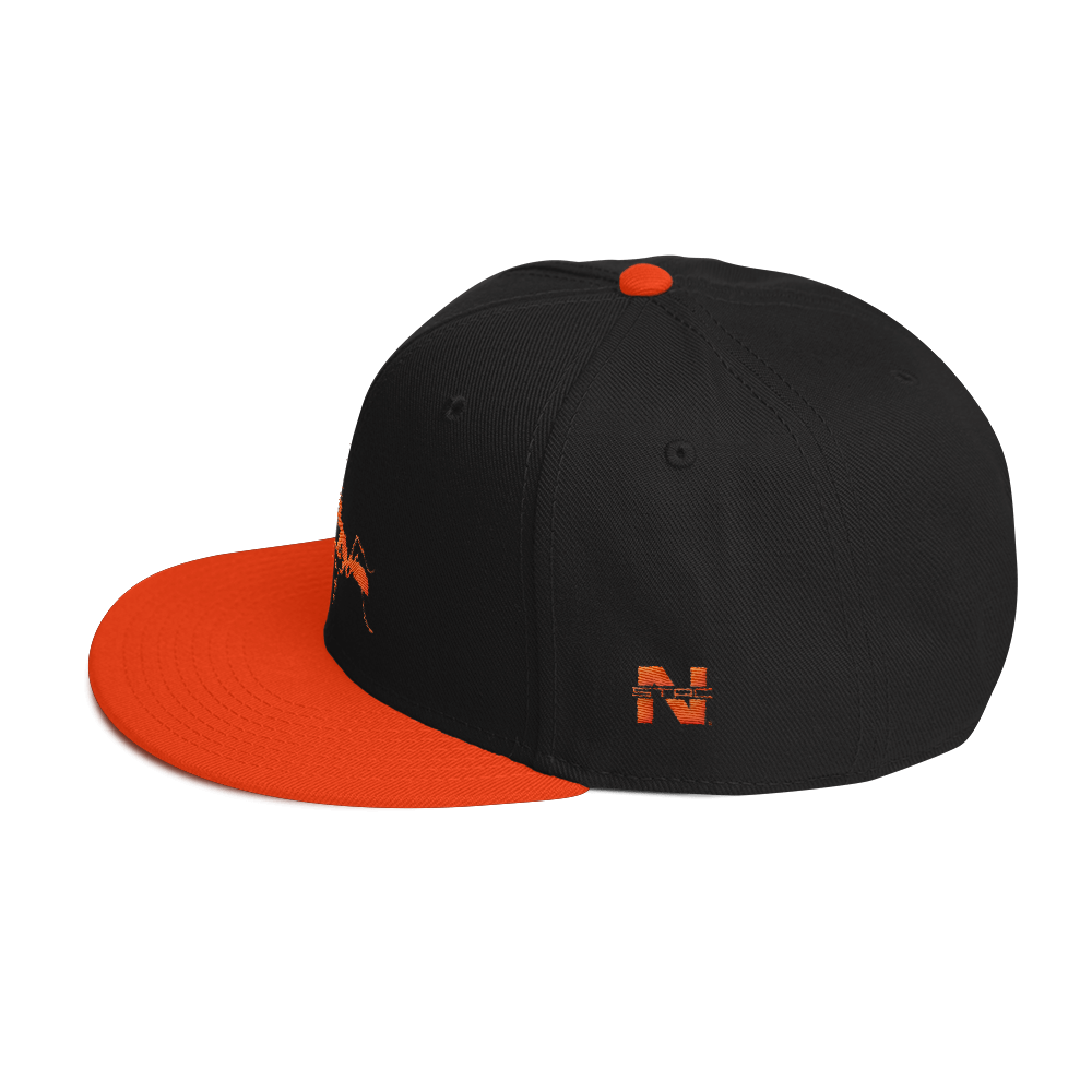 Snapback Hat