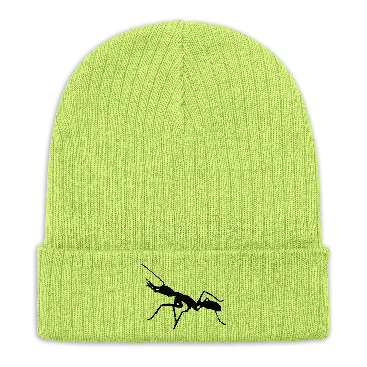 Antnology Skull Crown