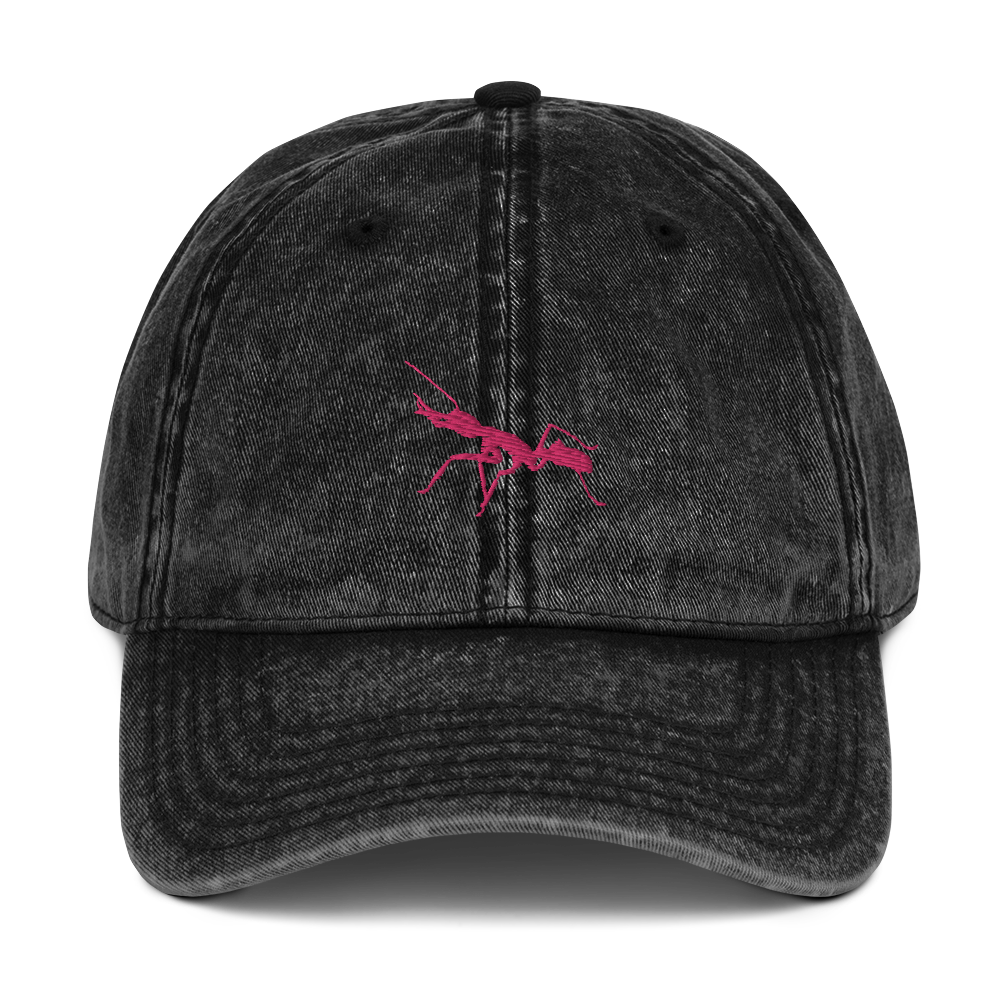 Antnology Stone wash